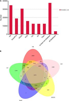 Genome Size Estimation and Full-Length Transcriptome of Sphingonotus tsinlingensis: Genetic Background of a Drought-Adapted Grasshopper